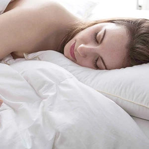 Set of 2 Plush Down Alternative Pillows