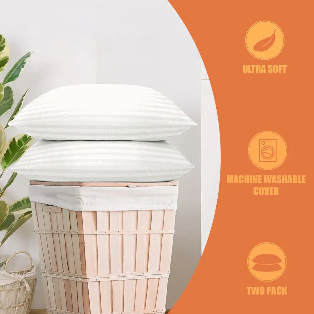 Set of 2 Plush Down Alternative Pillows