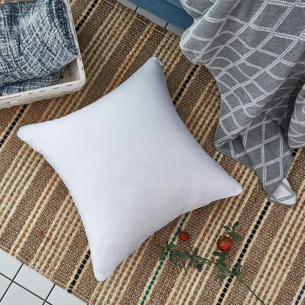 22x22 Cotton Throw Pillow Inserts (2-Pack)