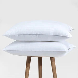 Set of 2 Plush Down Alternative Pillows