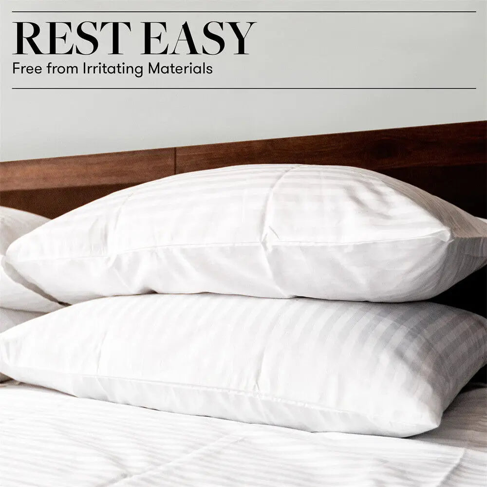 Set of 2 Plush Down Alternative Pillows