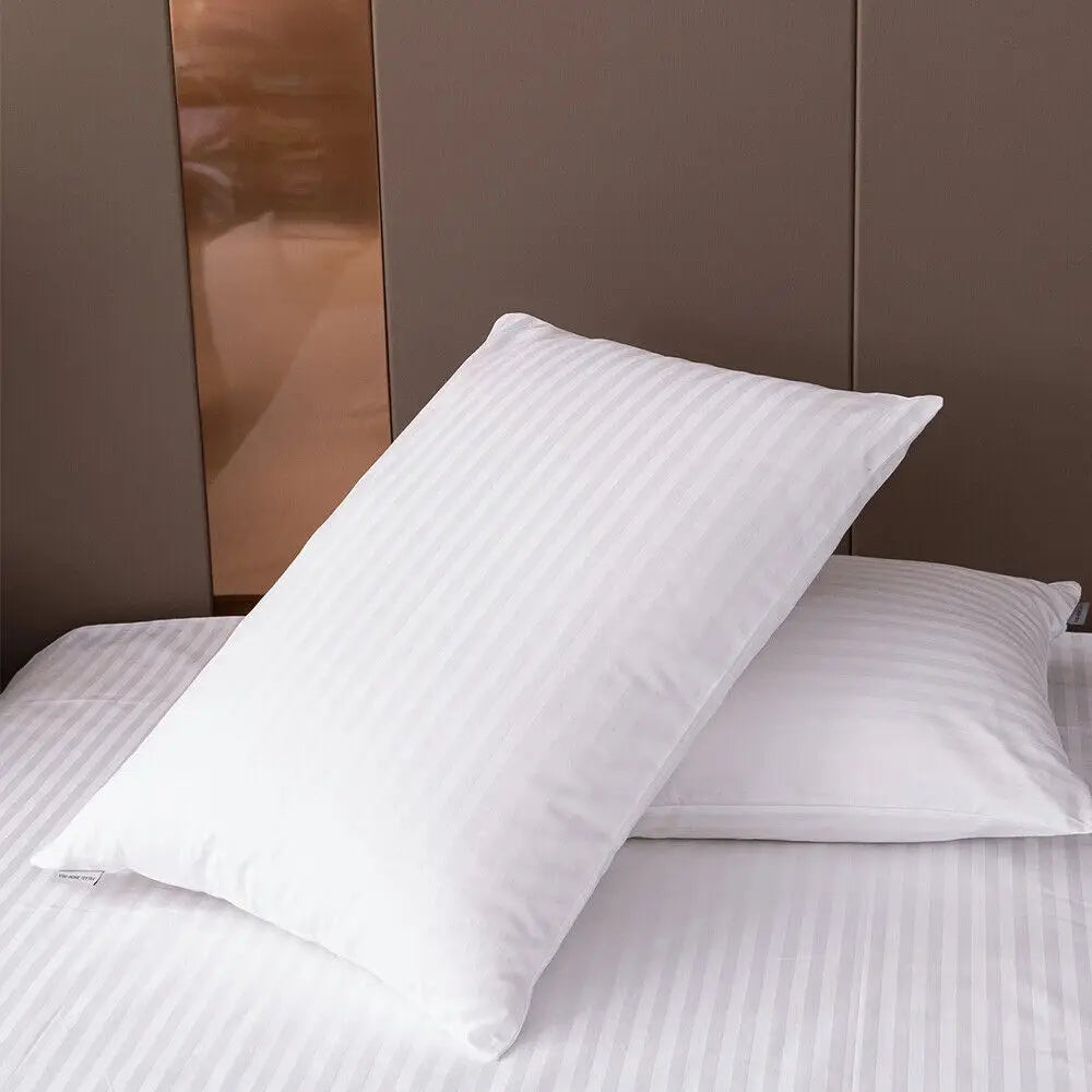 Set of 2 Plush Down Alternative Pillows