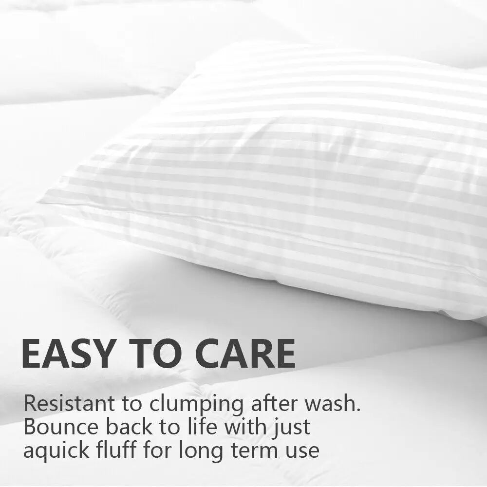 Set of 2 Plush Down Alternative Pillows