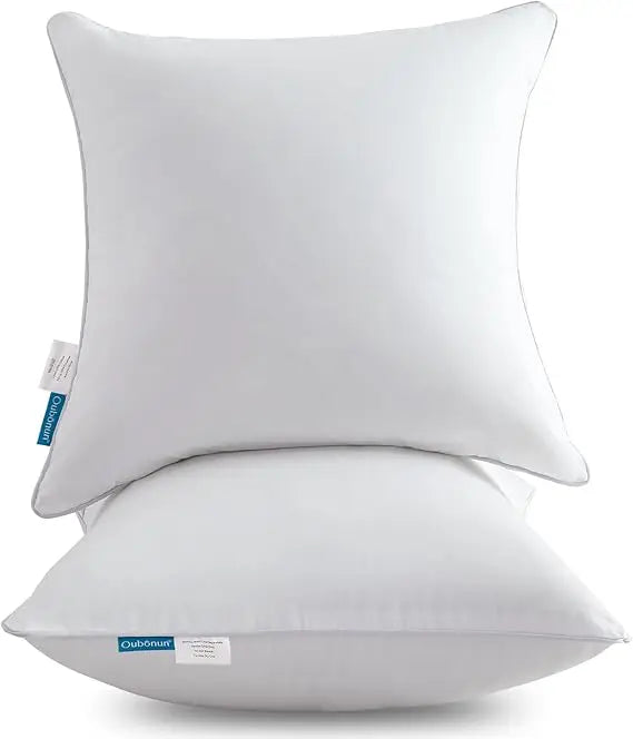 22x22 Cotton Throw Pillow Inserts (2-Pack)
