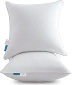 22x22 Cotton Throw Pillow Inserts (2-Pack)