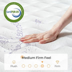 Vesgantti 10/12" Tight Top Hybrid Mattress