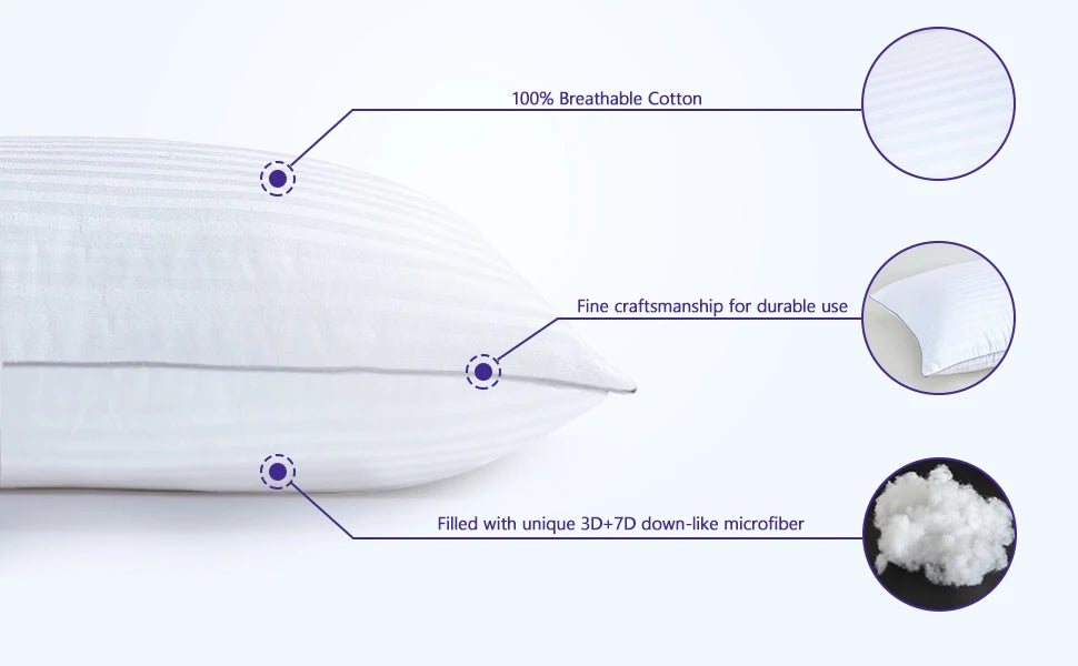 Set of 2 Plush Down Alternative Pillows