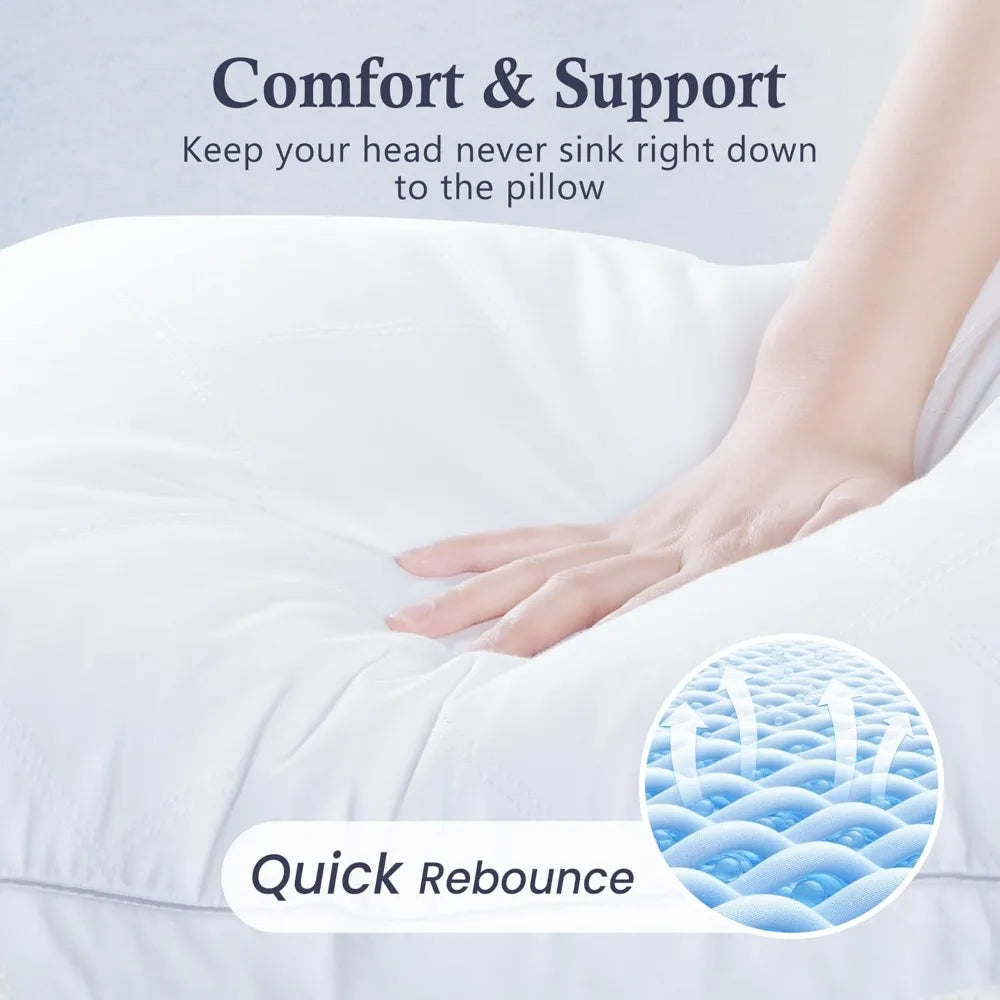 Goose Feather & Down Pillows (2-Pack King)