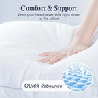 Goose Feather & Down Pillows (2-Pack King)