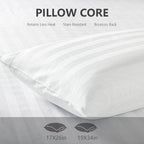 Set of 2 Plush Down Alternative Pillows