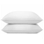 Set of 2 Plush Down Alternative Pillows