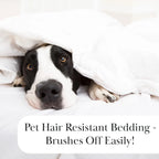 XL Twin Quilt Set w/ Pillow Sham