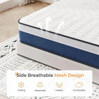 Vesgantti 10/12" Tight Top Hybrid Mattress