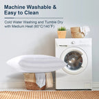 Set of 2 Plush Down Alternative Pillows