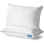 Premium Shredded Memory Foam Pillow (2-Pack Queen)