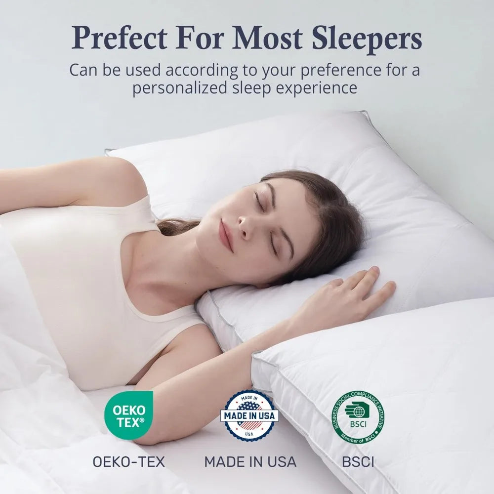 Goose Feather & Down Pillows (2-Pack King)