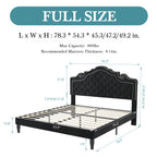 HOOMIC Velvet Platform Bed