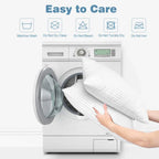 Set of 2 Plush Down Alternative Pillows