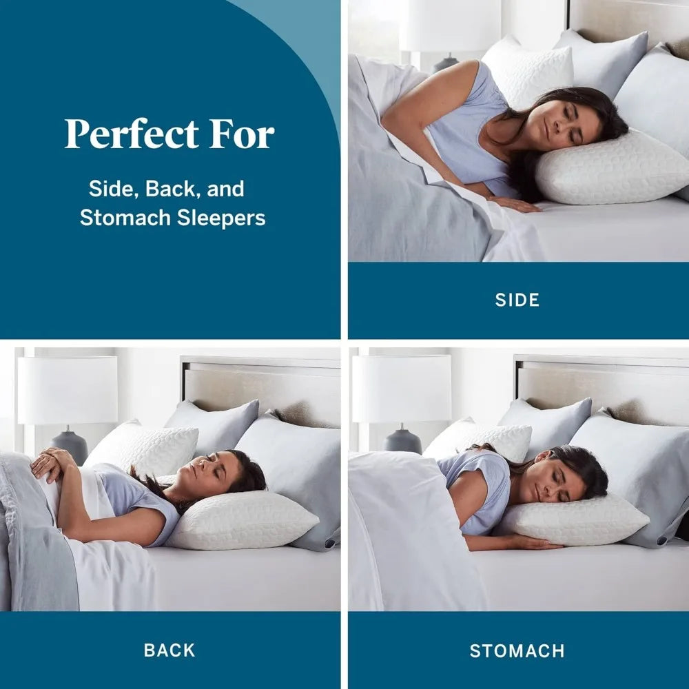 Premium Shredded Memory Foam Pillow (2-Pack Queen)
