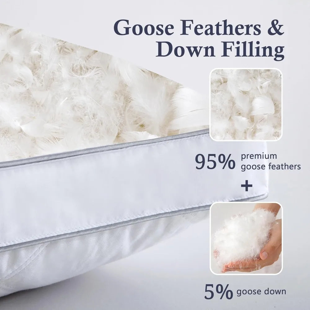 Goose Feather & Down Pillows (2-Pack King)