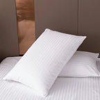 Set of 2 Plush Down Alternative Pillows