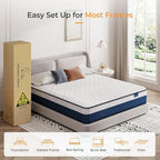 Vesgantti 10/12" Tight Top Hybrid Mattress