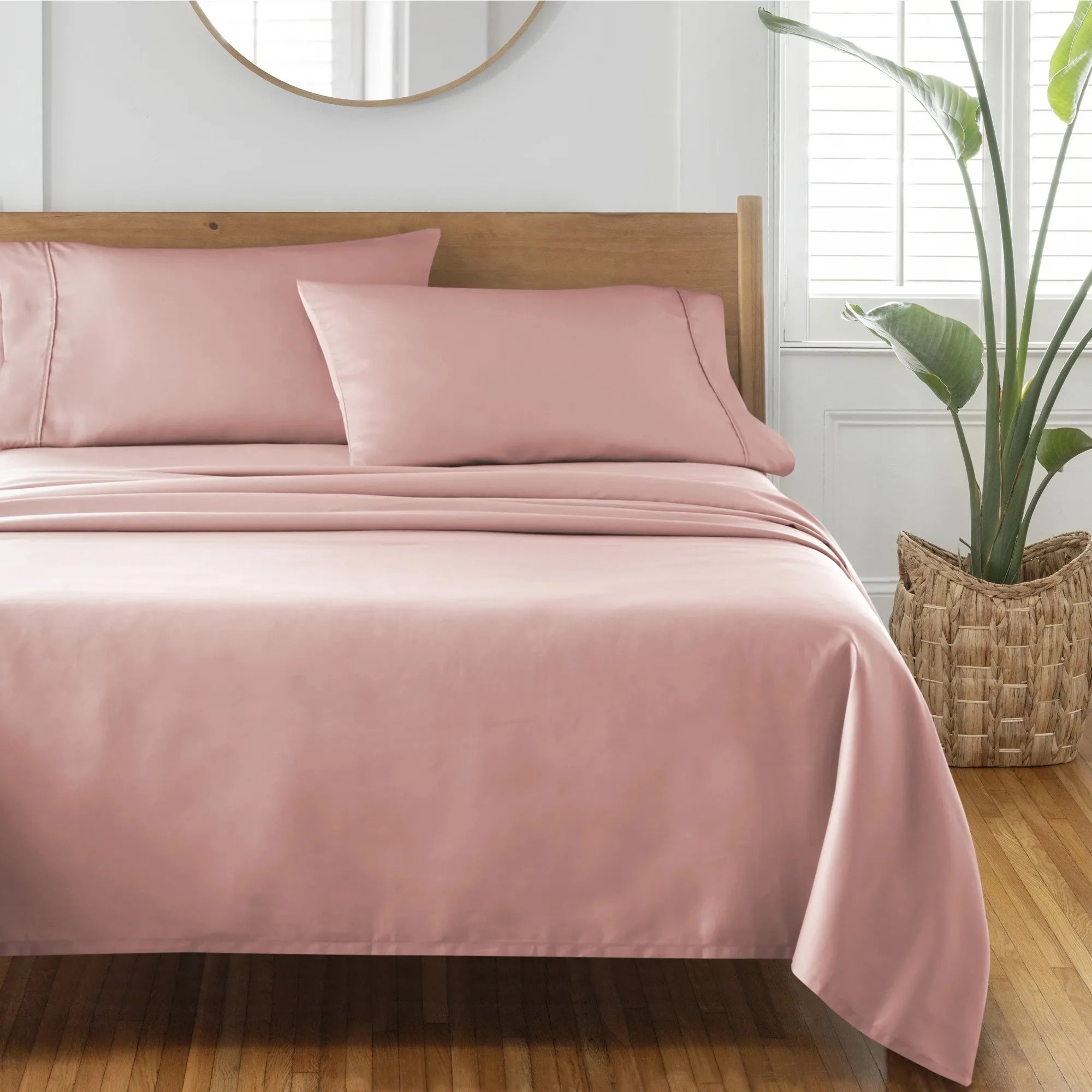 3PC Twin Cotton Bed Sheet Set