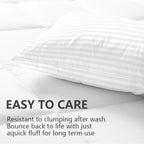 Set of 2 Plush Down Alternative Pillows