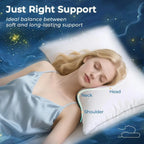 King Pillow Set of 4 (Oeko-Tex Certified0