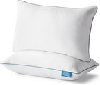 Premium Shredded Memory Foam Pillow (2-Pack Queen)