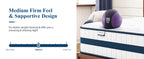 Maxzzz 12" Hybrid Mattress
