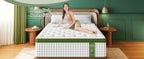 BedStory 12–14" Hybrid Mattress