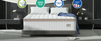 BedStory 14" Hybrid Mattress
