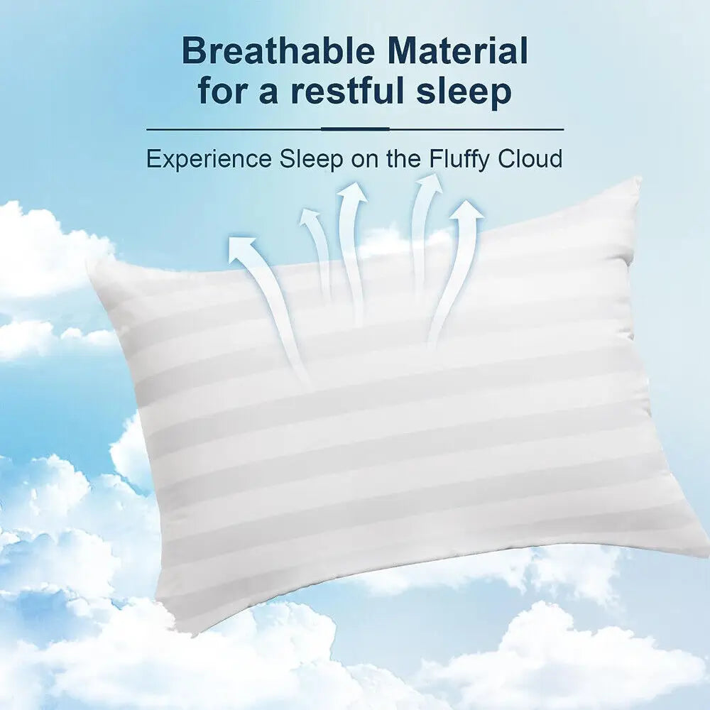 Set of 2 Plush Down Alternative Pillows