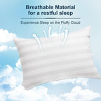 Set of 2 Plush Down Alternative Pillows